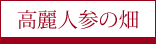 高麗人参の畑