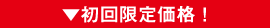 初回限定価格!