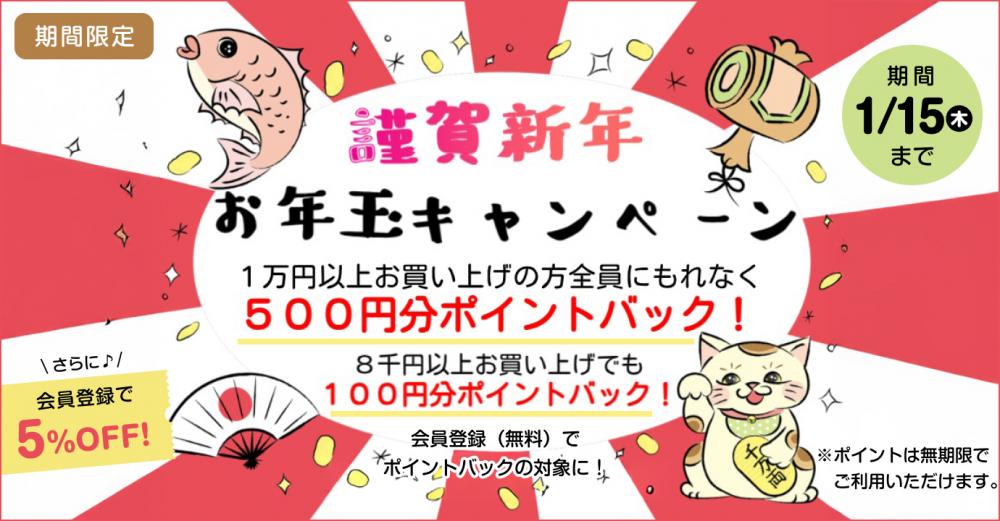 熊本銘菓10枚セット