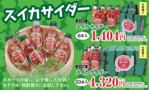 スイカサイダー20本入